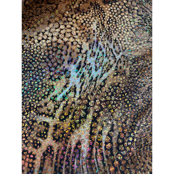 HIRE: 1st Position Leopard Print Shimmer Asymmetric Shoulder Leotard
